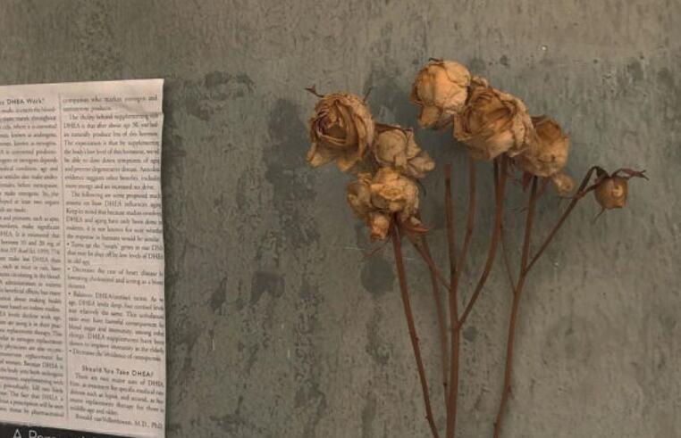 恋恋不舍的句子文案