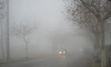 晨雾的七绝古诗