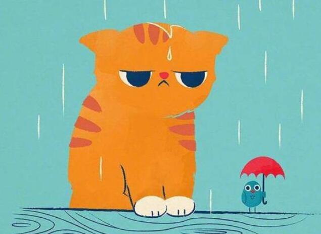 qq空间说说文案大全软件