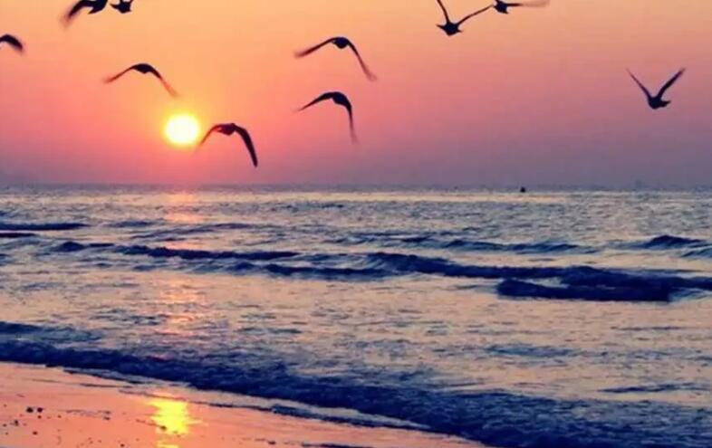 5月早上好祝福语图片