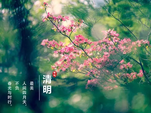 清明节发圈的唯美句子文案2024