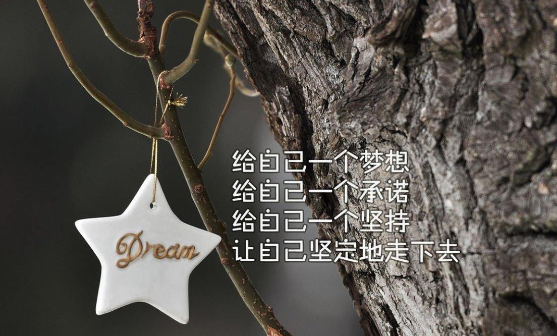 坚持努力奋斗的励志句子文案