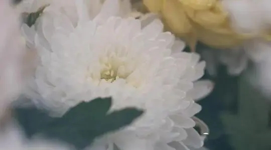 沉重悼念逝者句子文案