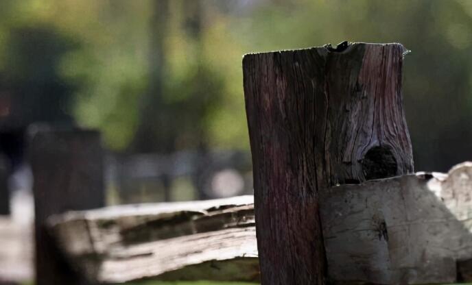 感慨的句子文案说说心情