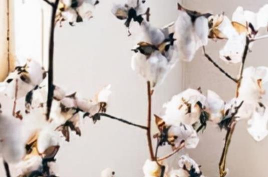 青春不散场经典语录文案8字