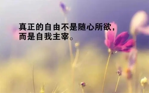 每天励志正能量一段话