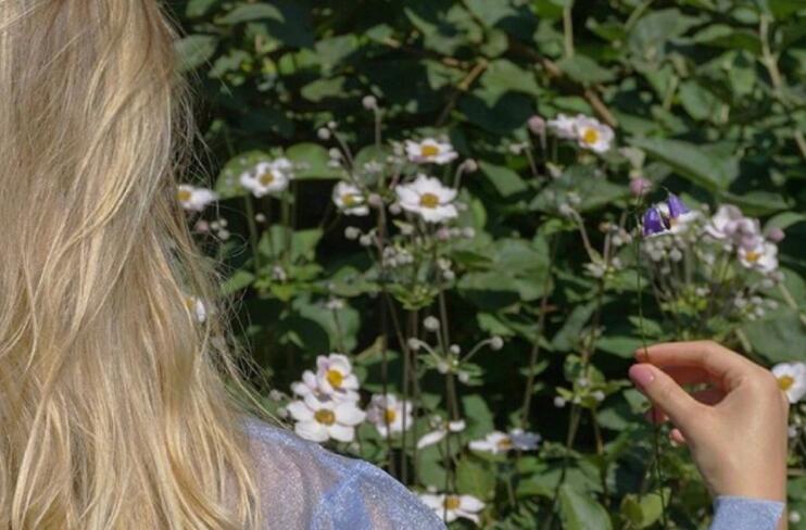 朋友圈高端文案爱情