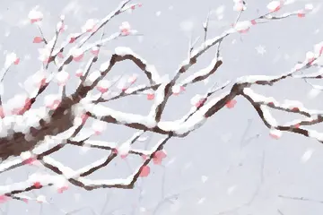 小寒节气的古诗有哪些