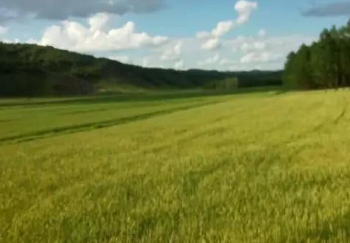 回到乡下的感受句子文案