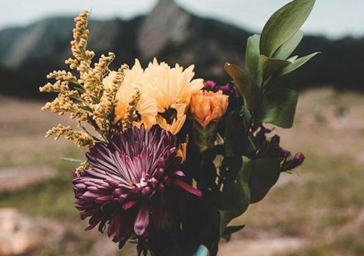 睡安心踏实的觉的句子文案