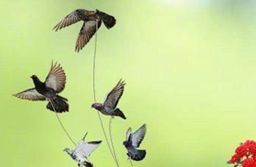 康复祝福语大全简短