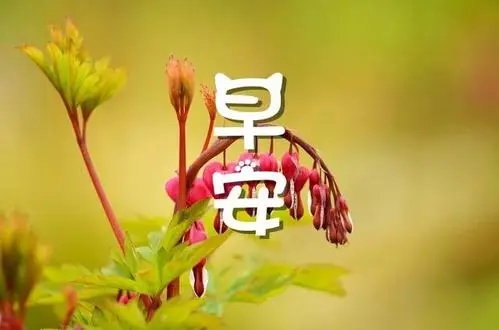 一句话精致早安问候语