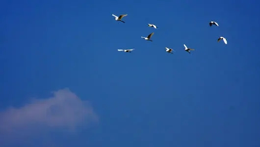 赞美蓝天白云的古诗