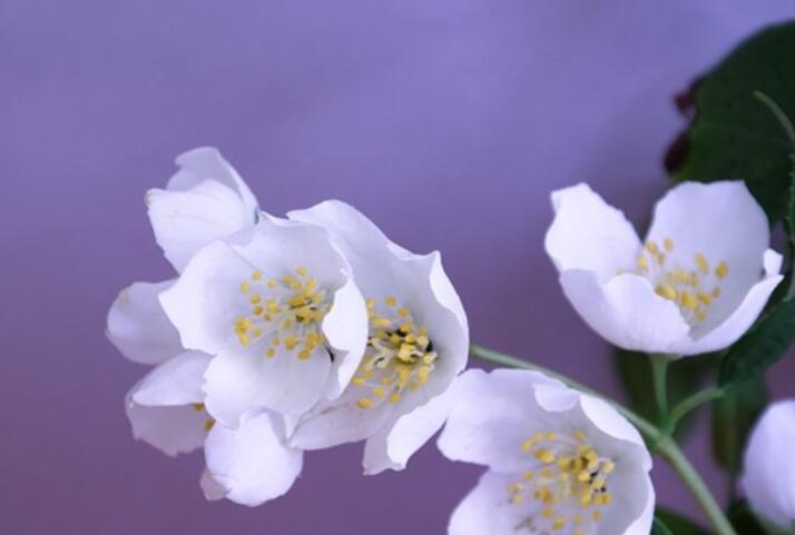 伤心的一段话50字