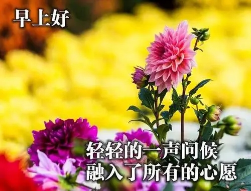 一句经典祝福的话语