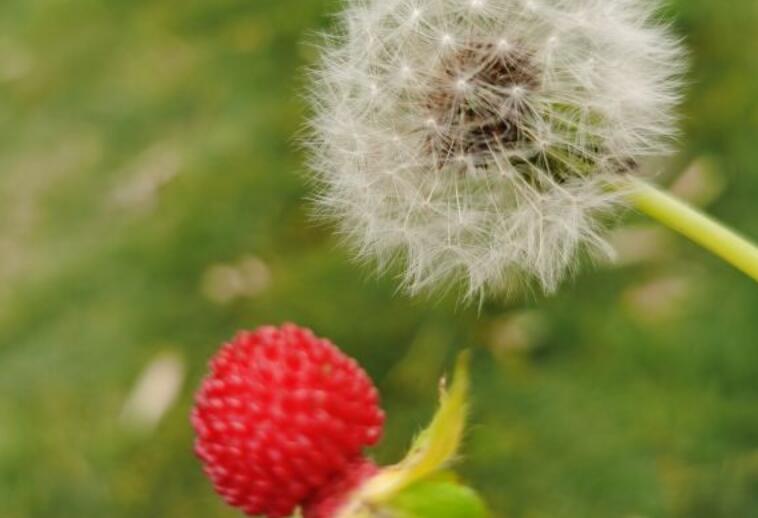 回到农村的朋友圈说说文案