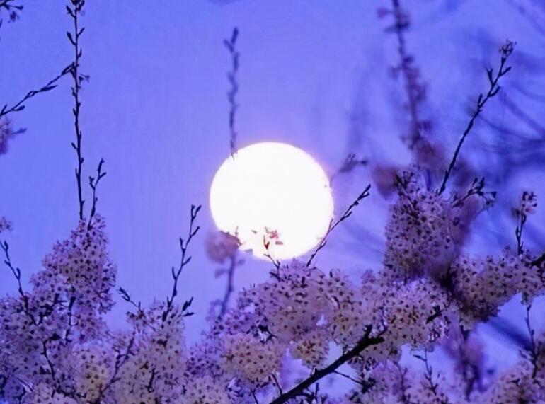 古风唯美祈愿的诗句文案