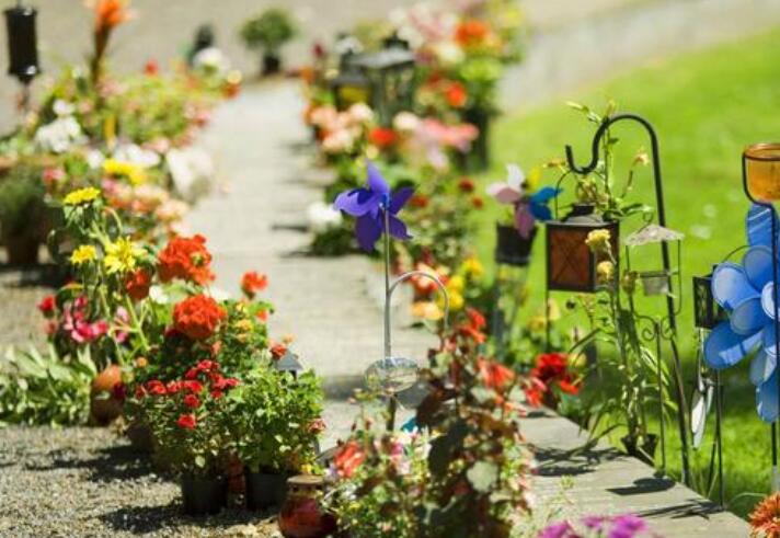 形容自己傻的幽默说说文案