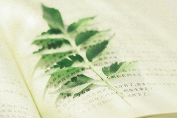 被爱人背叛的伤感句子文案