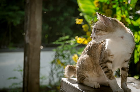 表白的话真实点的情书