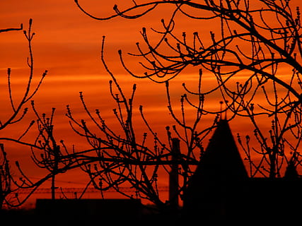 喜欢一个人如何发朋友圈