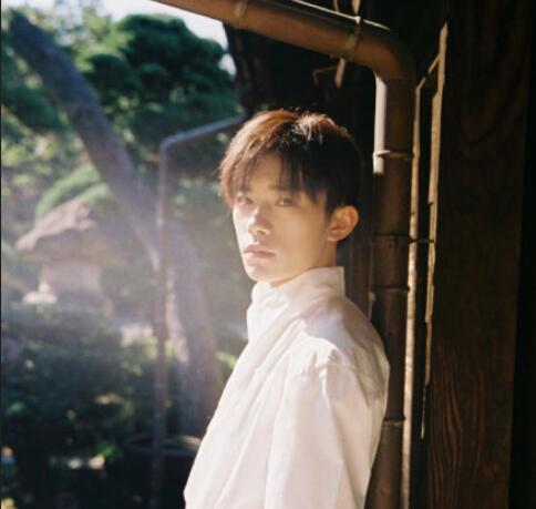 形容少年初长成的诗句文案