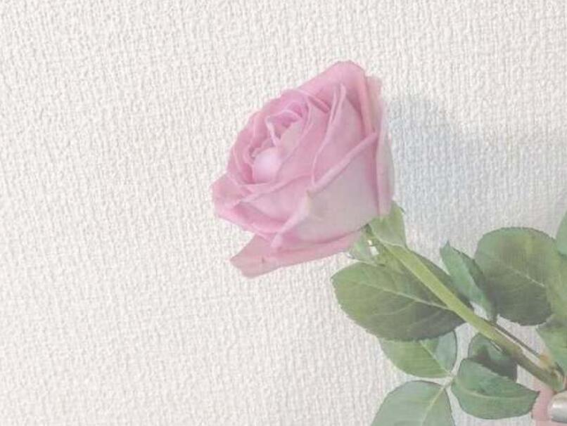 爱很廉价语录文案