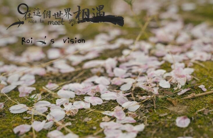 好词好句文案六年级摘抄