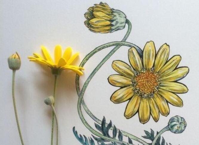 夸人会享受生活的句子文案