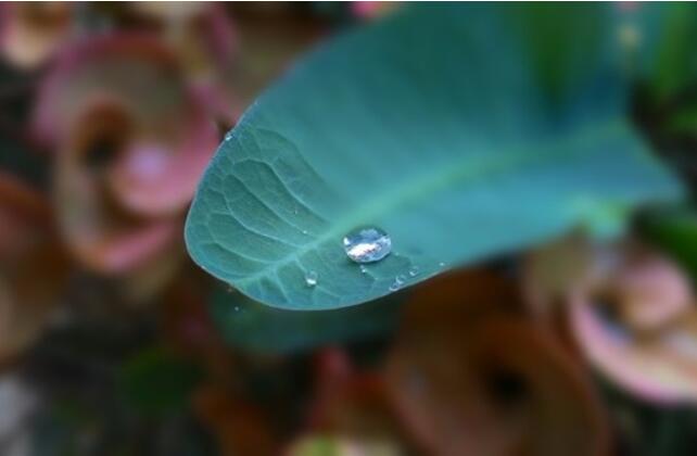 关于灵魂的名言