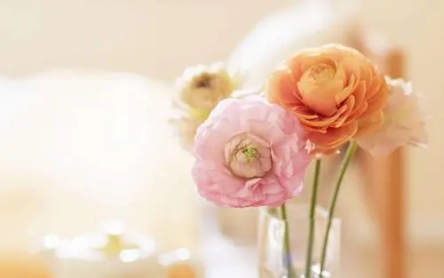 靠美颜活着说说文案