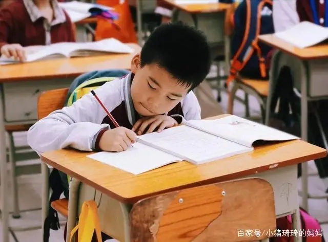 优美的课文句子文案摘抄