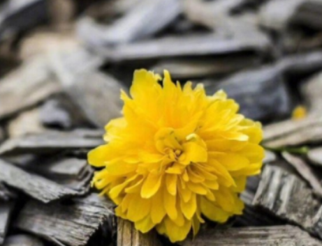 俏皮打招呼的话