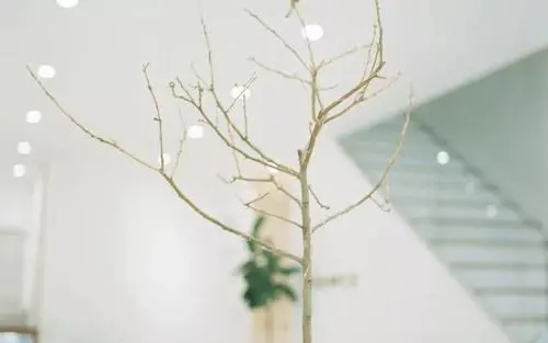 愿不被世俗打扰的句子文案