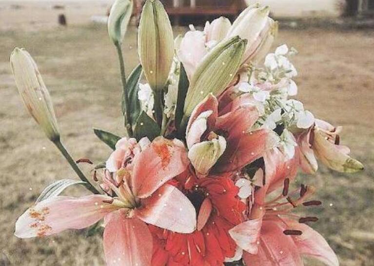 哲理句子文案精辟十字之内