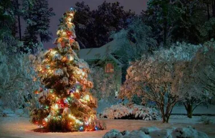 平安夜没有礼物的说说文案