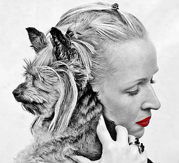 对感情消极的哲理句子文案