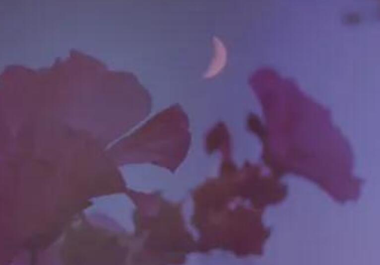 可爱又霸气的语句文案