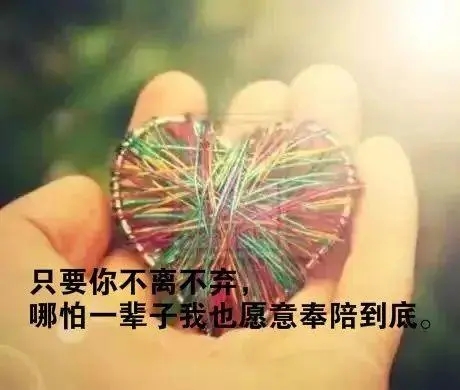 感动夫妻名言哲理句子文案