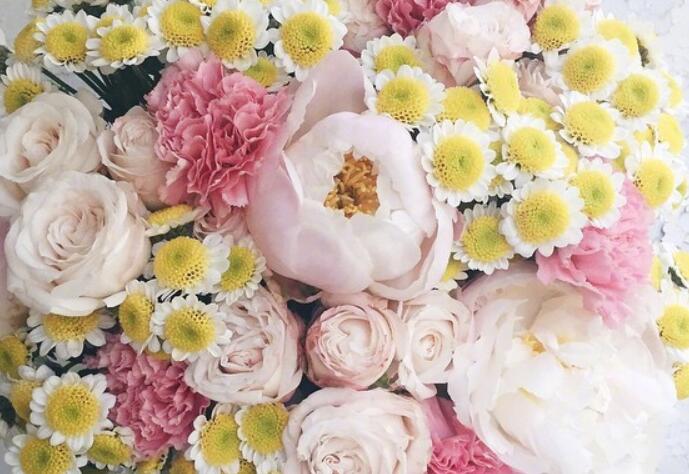 英文唯美句子文案摘抄