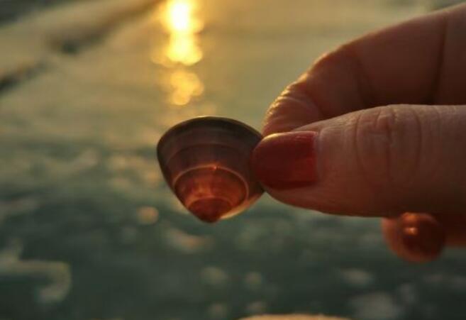 迷茫的名人名言