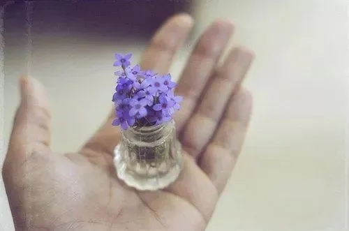 搞卫生发朋友圈的句子文案