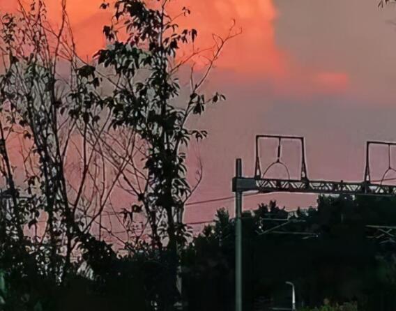 想念家乡的句子文案心情