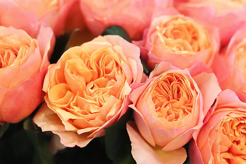 高情商女人挽回男人时说的话