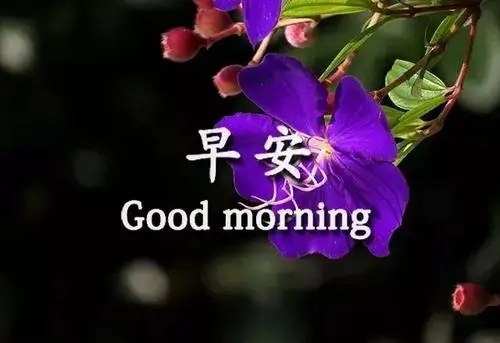 早上好问候美篇_美篇