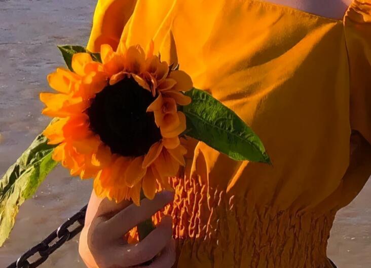 2021314表白情话文案