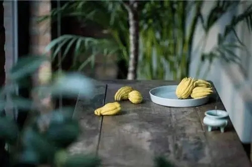 形容人朴素的句子文案