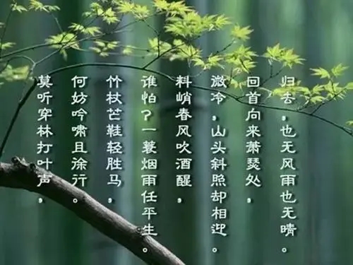 称赞一个人很棒的诗句文案