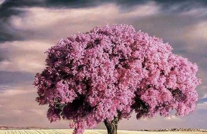 关于人生的经典语录文案