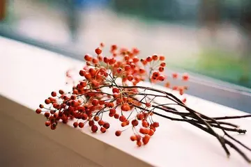 对朋友失望的伤感句子文案